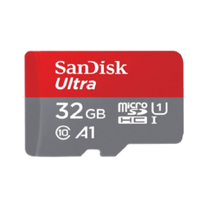 Carte mémoire flash Sandisk