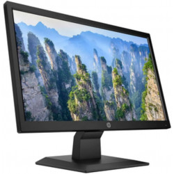 Computer Monitor HP led 18.5”
