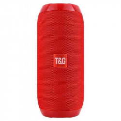 Enceinte Bluetooth T&G