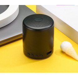 Mini enceinte haut-parleur