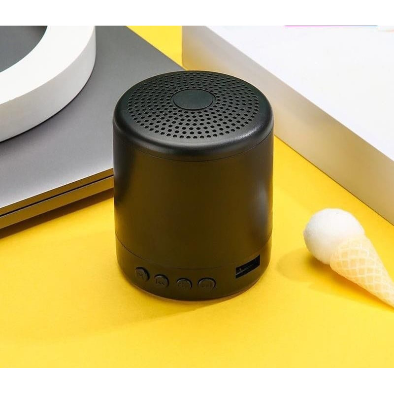 Mini enceinte haut-parleur