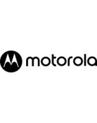 MOTOROLA